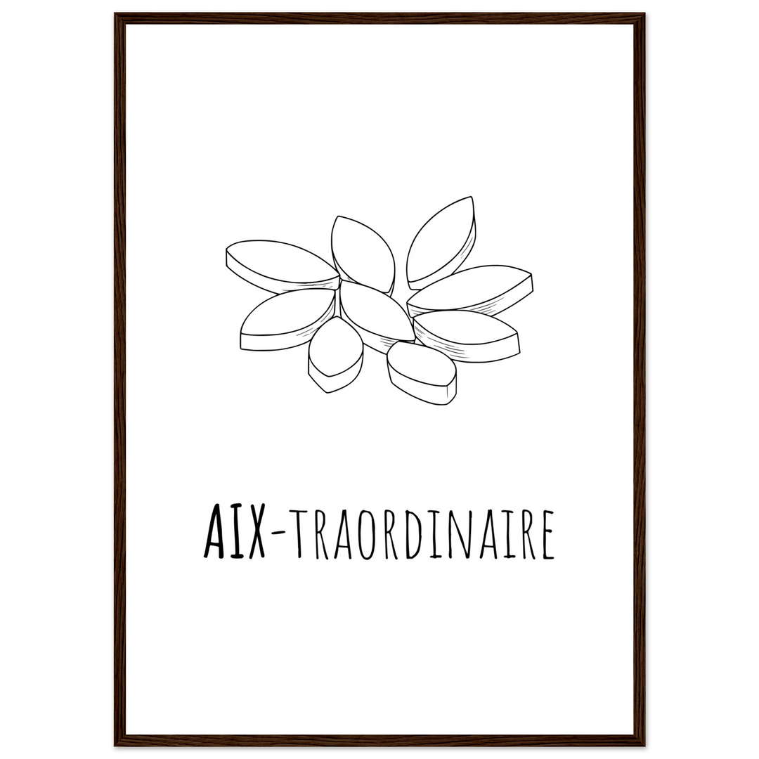 Affiche "Aix - traordinaire " | Aix en Provence - MoodElle