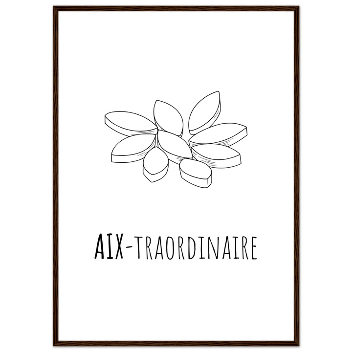 Affiche "Aix - traordinaire " | Aix en Provence - MoodElle
