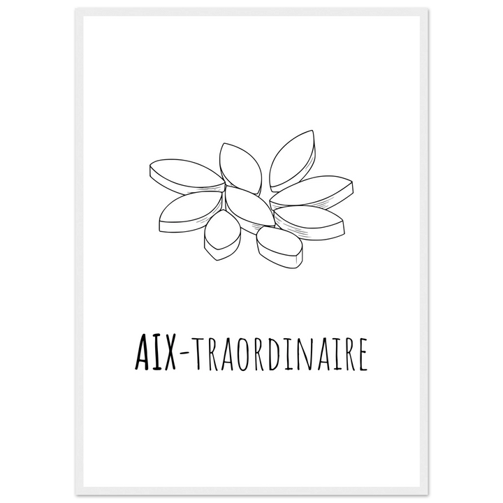Affiche "Aix - traordinaire " | Aix en Provence - MoodElle