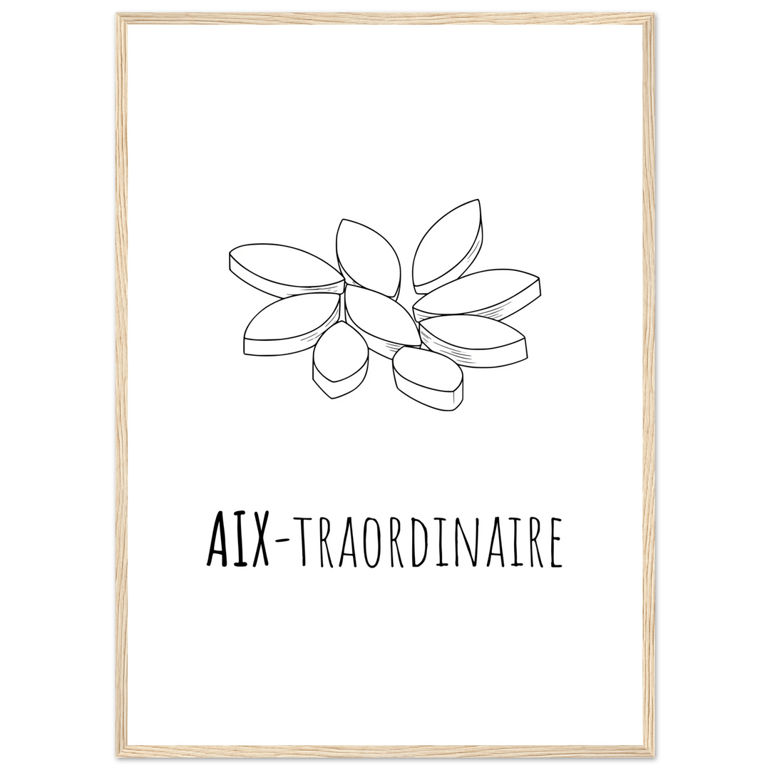 Affiche "Aix - traordinaire " | Aix en Provence - MoodElle