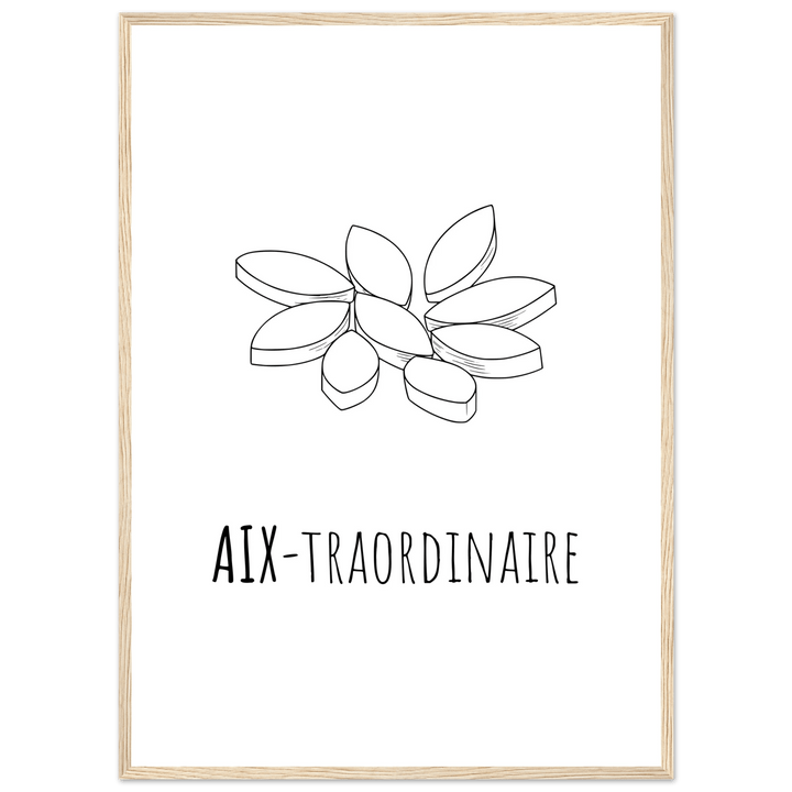 Affiche "Aix - traordinaire " | Aix en Provence - MoodElle