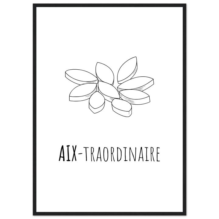 Affiche "Aix - traordinaire " | Aix en Provence - MoodElle