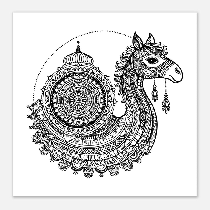 Affiche Dromadaire | Mandala - MoodElle
