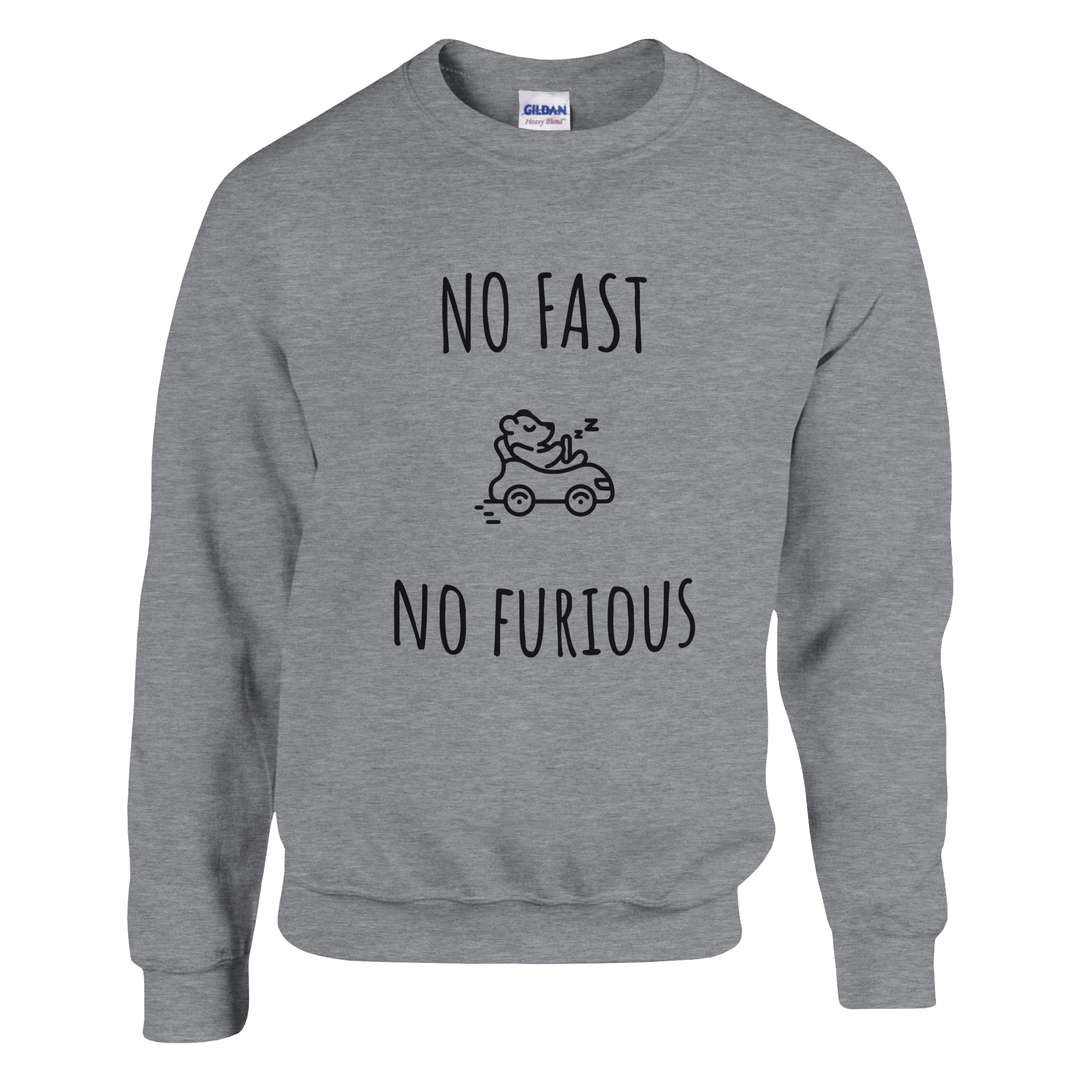 Sweatshirt "No Fast, No Furious" - MoodElle